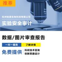 图片查重/数据审计