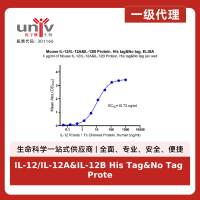 IL-12/IL-12A&IL-12B His Tag&No Tag Protein, Mouse