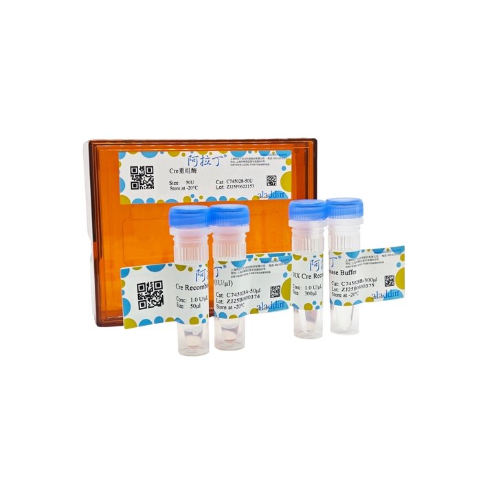 Cre重组酶,无动物源, 生物活性, ActiBioPure™, EnzymoPure™, 无菌, 1.0 U/μL,阿拉丁