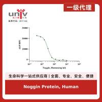Noggin Protein, Human