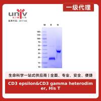 CD3 epsilon&CD3 gamma heterodimer, His Tag&Flag Protein, Mouse
