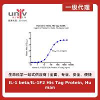 IL-1 beta/IL-1F2 His Tag Protein, Human