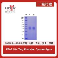 PD-1 His Tag Protein, Cynomolgus