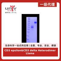 CD3 epsilon&CD3 delta Heterodimer Llama Fc&Llama Fc Tag Protein, Human