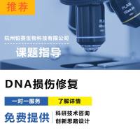 DNA损伤修复/DDR/课题指导