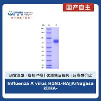 Influenza A virus H1N1-HA(A/Nagasaki/HA-4/2009 H1N1), His tag