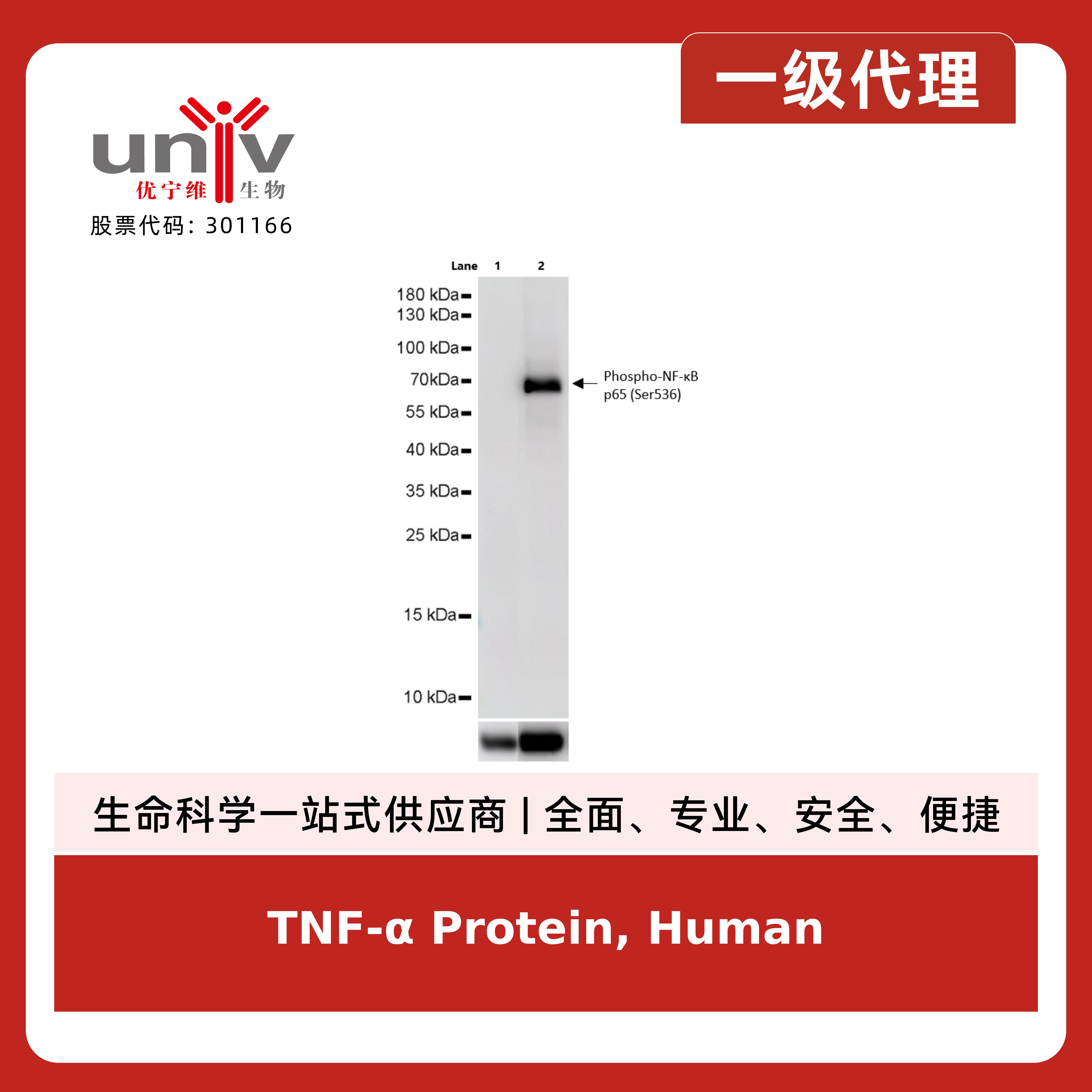 产品细节图片3