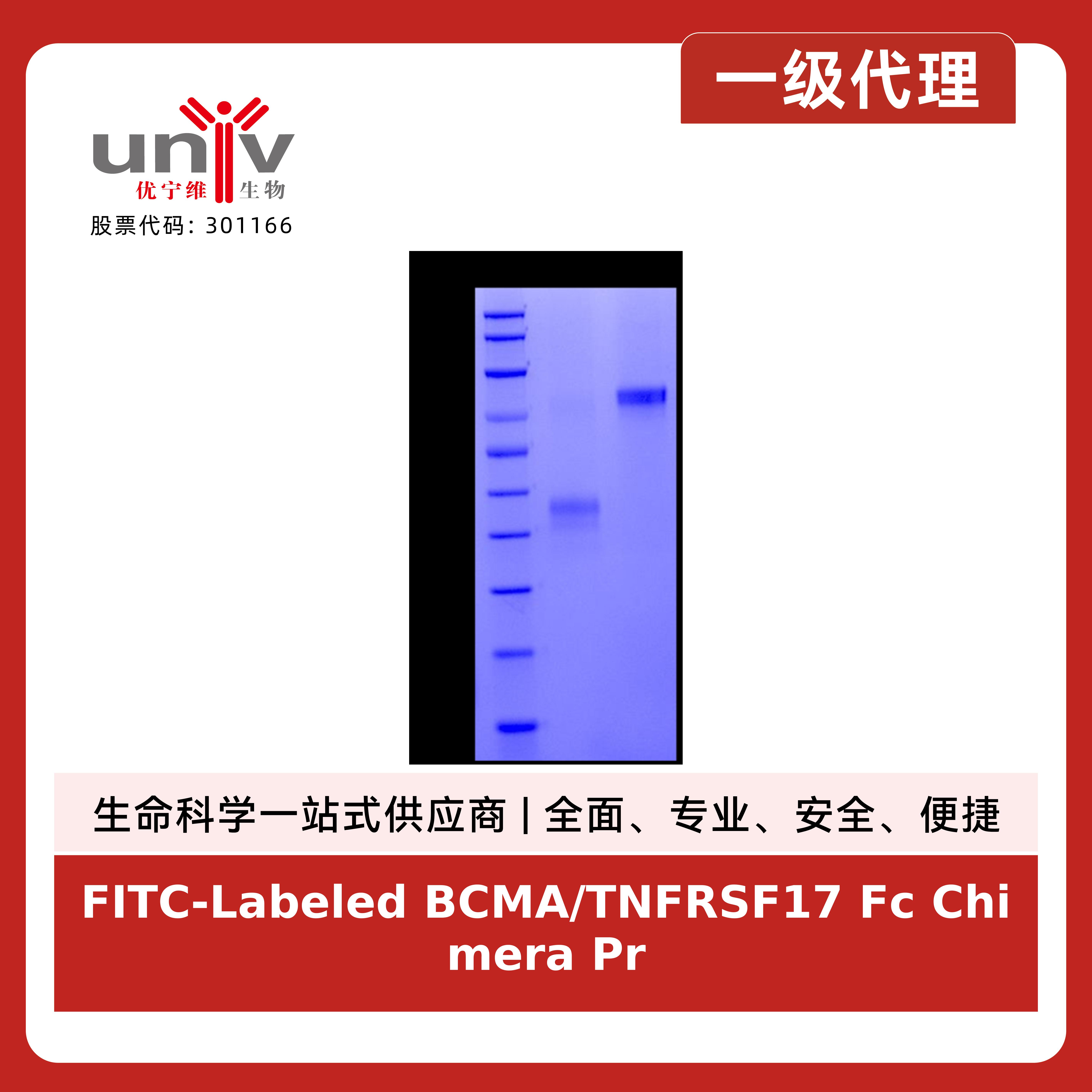 产品细节图片2