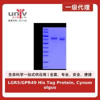 LGR5/GPR49 His Tag Protein, Cynomolgus