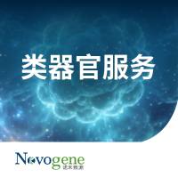 类器官构建与多组学分析一站式服务