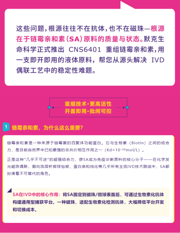 新闻图片4