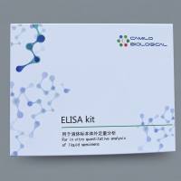 大鼠核转录因子p50(NF-KB p50)ELISA试剂盒