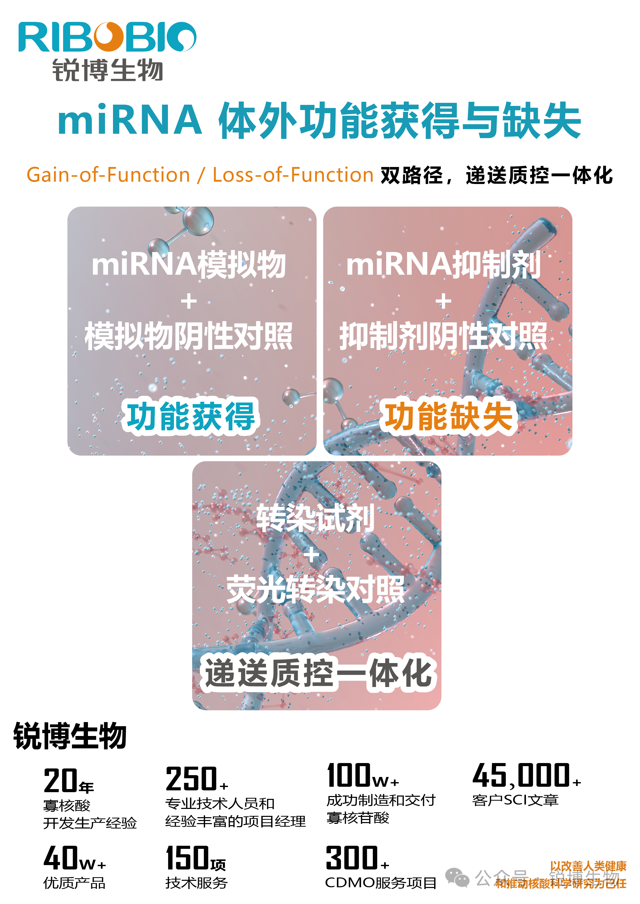 产品推荐 | 细胞miRNA实验