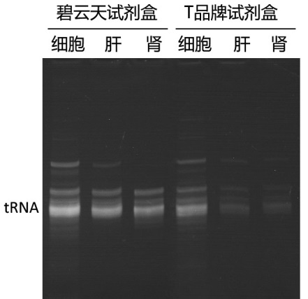 产品细节图片2
