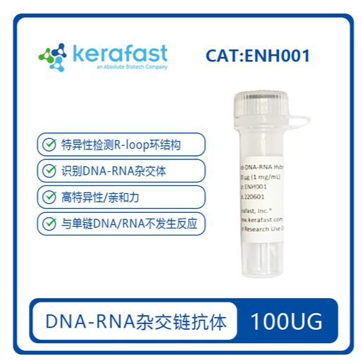 DNA-RNA杂交体抗体  Anti DNA-RNA Hybrid [S9.6] Antibody
