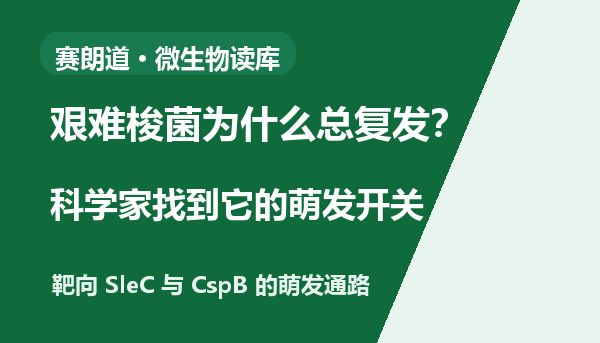 艰难梭菌为什么总复发？科学家找到它的萌发开关