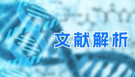 同济医院王少刚、夏启东团队构建磁导航PSMA/STEAP1双靶向诊疗一体化纳米平台，实现前列腺癌精准成像与光热-化疗-免疫协同治疗