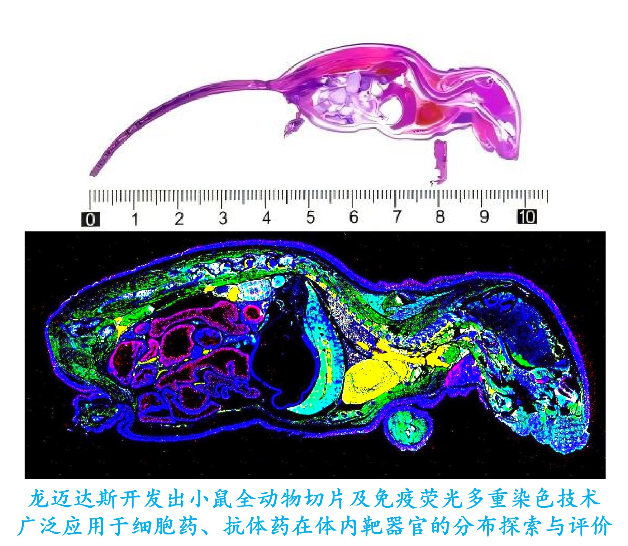产品细节图片1