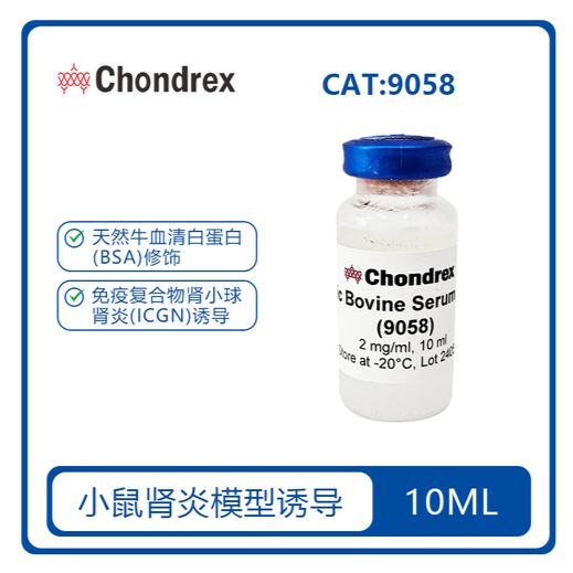 cBSA 阳离子牛血清白蛋白 肾炎模型 现货 cat#9058