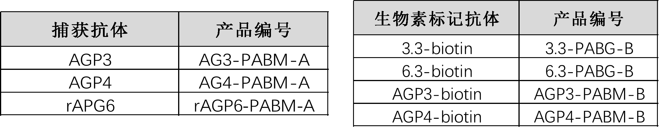 新闻图片2