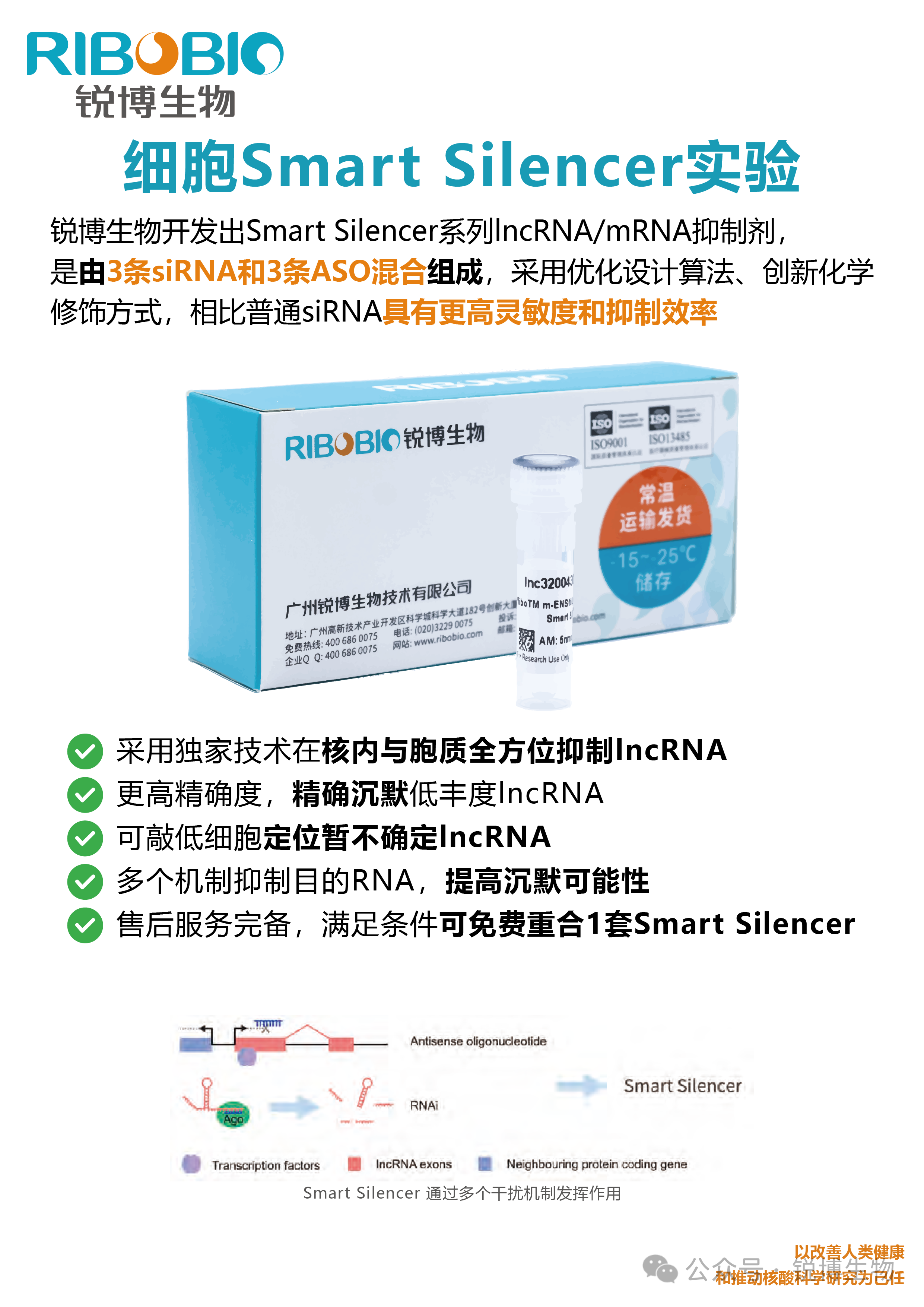 产品推荐 | 细胞Smart Silencer实验