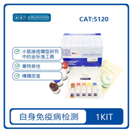小鼠抗双链DNA  IgG ELISA 试剂盒 Mouse anti dsDNA IgG  ELISA Kit （5120） 