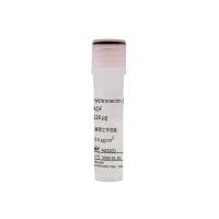 rhVitronectin(VTN) 1mg/mL AOF 