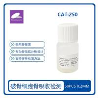 骨切片 Boneslice 牛皮质骨片 骨吸收 大量现货