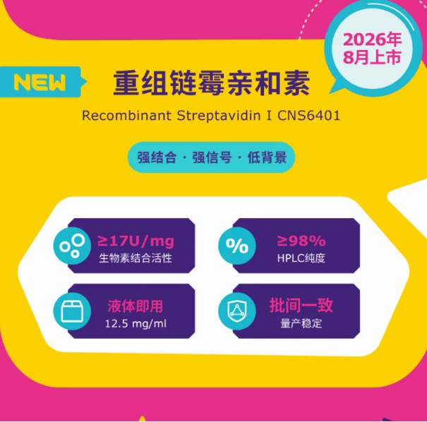 2026年全球生化偶联行业：高活性稳定性链霉亲和素选型解析分享