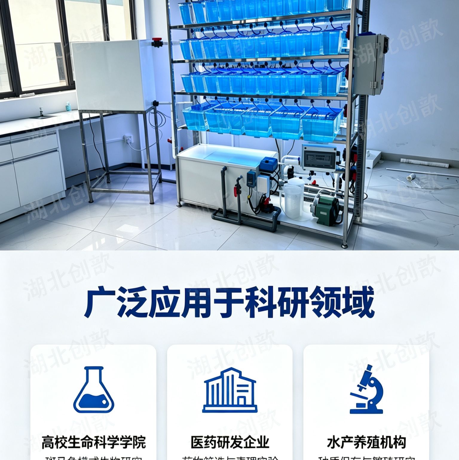 实验室斑马鱼养殖设备系统
