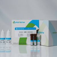 氧消耗率(OCR)检测试剂盒Oxygen Consumption Rate (OCR) Assay Kit