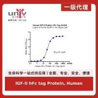 IGF-II hFc tag Protein, Human