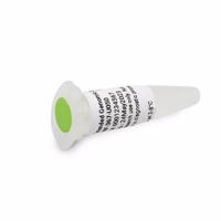 DNF-367-U050安捷伦扩展基因组DNA分子量标准品50µL Agilent