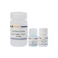 BeyoClick™点击反应溶液套装