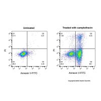 Annexin V-FITC,适用于免疫荧光(IF), BioReagent, 生物染色剂, 用于显微镜, 5 μL/test,阿拉丁