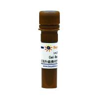 Gel-Red Plus (EB升级换代产品, 10000X)