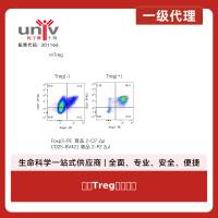 小鼠Treg极化套装