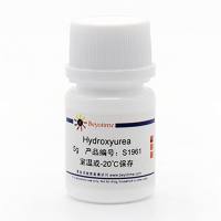 Hydroxyurea (DNA Synthesis抑制剂)