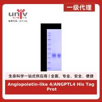 Angiopoietin-like 4/ANGPTL4 His Tag Protein, Human