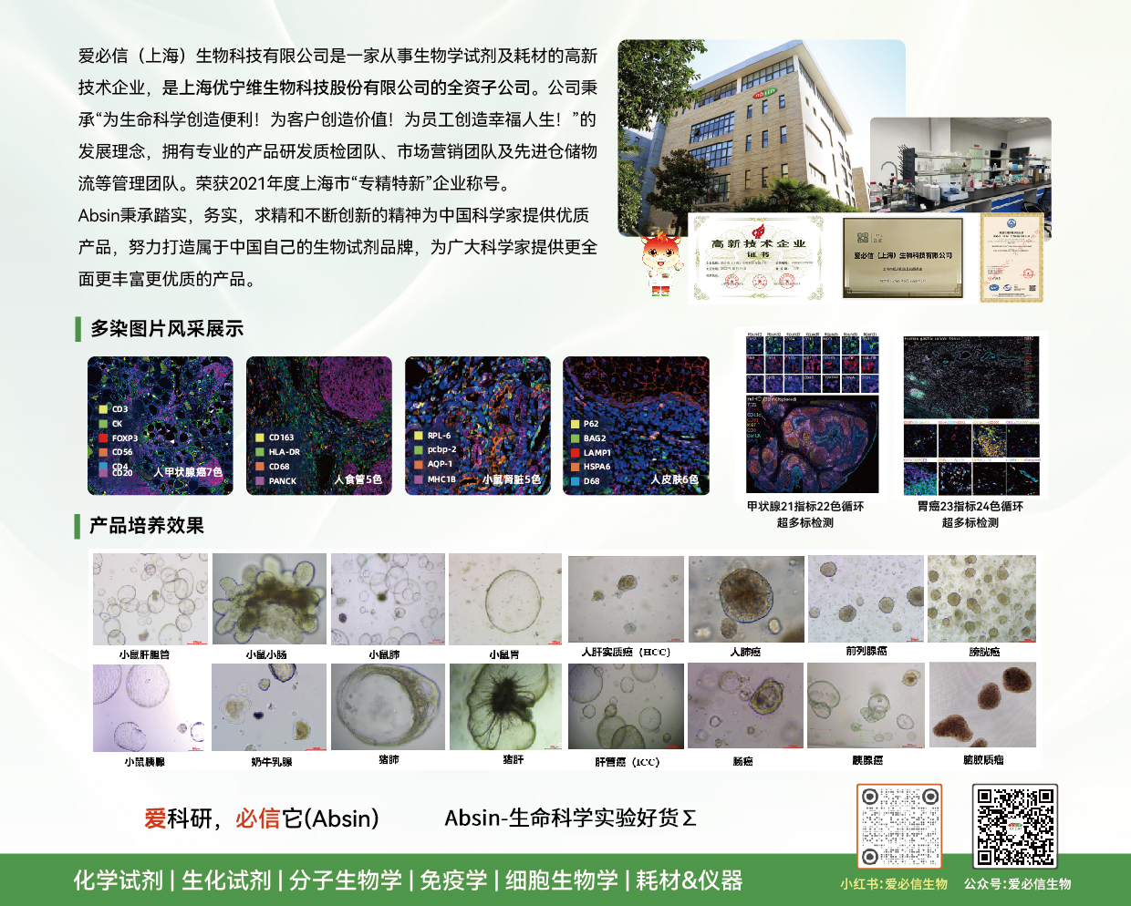 产品细节图片5