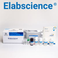 QuicKey Pro-猴皮质醇(Cortisol)ELISA试剂盒-QuicKey Pro Monkey Cortisol ELISA Kit