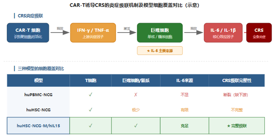 新闻图片4
