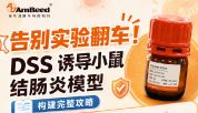 DSS诱导小鼠结肠炎模型构建攻略