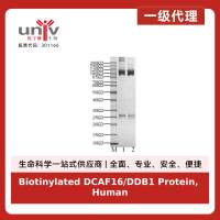 Biotinylated DCAF16/DDB1 Protein, Human