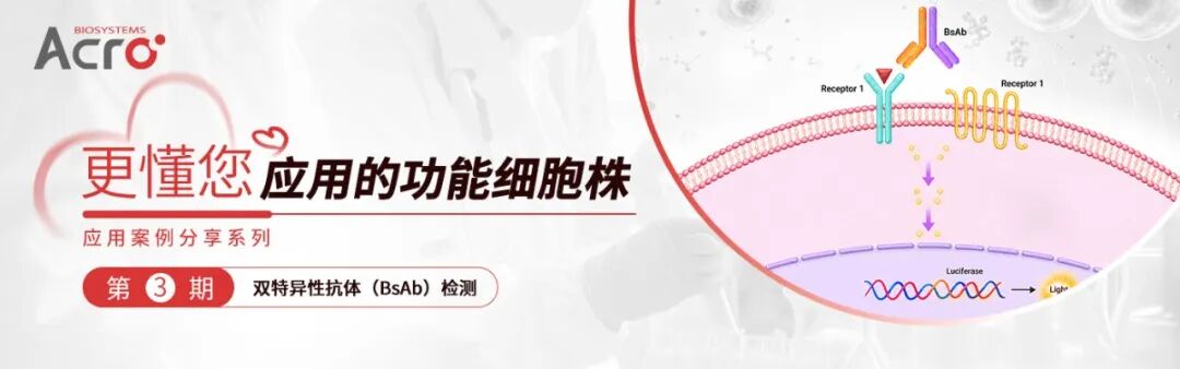更懂您应用的功能细胞株 | 适配双特异性抗体检测场景