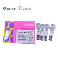 TSnanofect DNA专用转染试剂