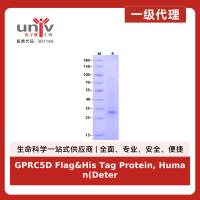 GPRC5D Flag&His Tag Protein, Human(Detergent)