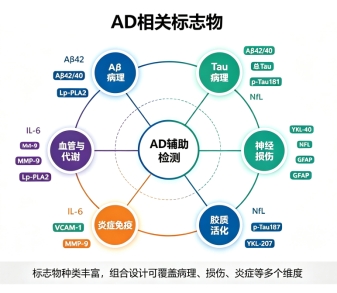 新闻图片2