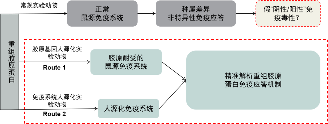 新闻图片3