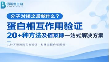 分子对接之后做什么？蛋白相互作用验证20+种方法及佰莱博一站式解决方案